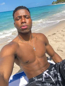 LionBlackk beach and sun Pic