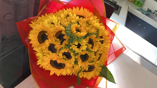 I love flowers😻🥺 de Isabelablockwell  4 Imagens