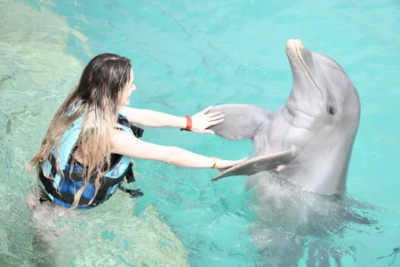 KylieJoyce Amazing adventure… I love these animals, they are so pure and I don’t have words how glad I am 🥹🙈 Pic 5