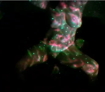 Lindagoddess75 Public Foto