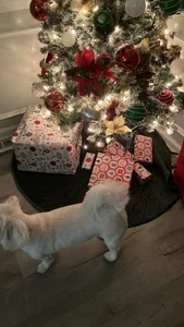 Manny456 Public Poză 5