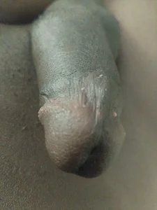 TheeblackDivckgiver Public Kuva