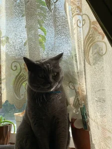 liana_kisses Day with Liana 😋🌞 Immagine  3