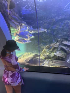 Public de Paulha__miller  6 Imagens