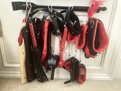 victorialotus Some of My Toys Pic