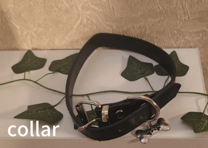 Ashley_Nicks My toy collection Pic 4