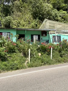 Paseo por carretera🏍️ de devora_candi Foto 6