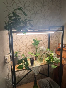 Sofia_Kenwood Some of my Life! Pic 2