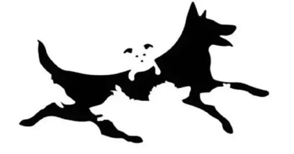 DirtyDaviid: Public ( 4 фото)