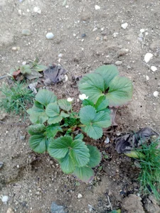 AMOyPUTA Public صورة واحدة|AMOyPUTA Public صورتان|AMOyPUTA Public  9 صور|AMOyPUTA Public  9 صورة