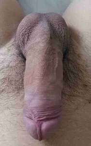 XiaojijiA Public รูป 