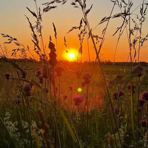 DorothyJones summer time Pic 3