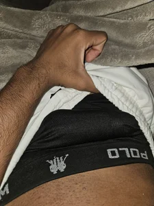 Public de Morcego0  Imagens