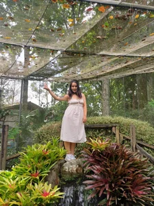 NathySweet Butterfly Garden Immagine  5