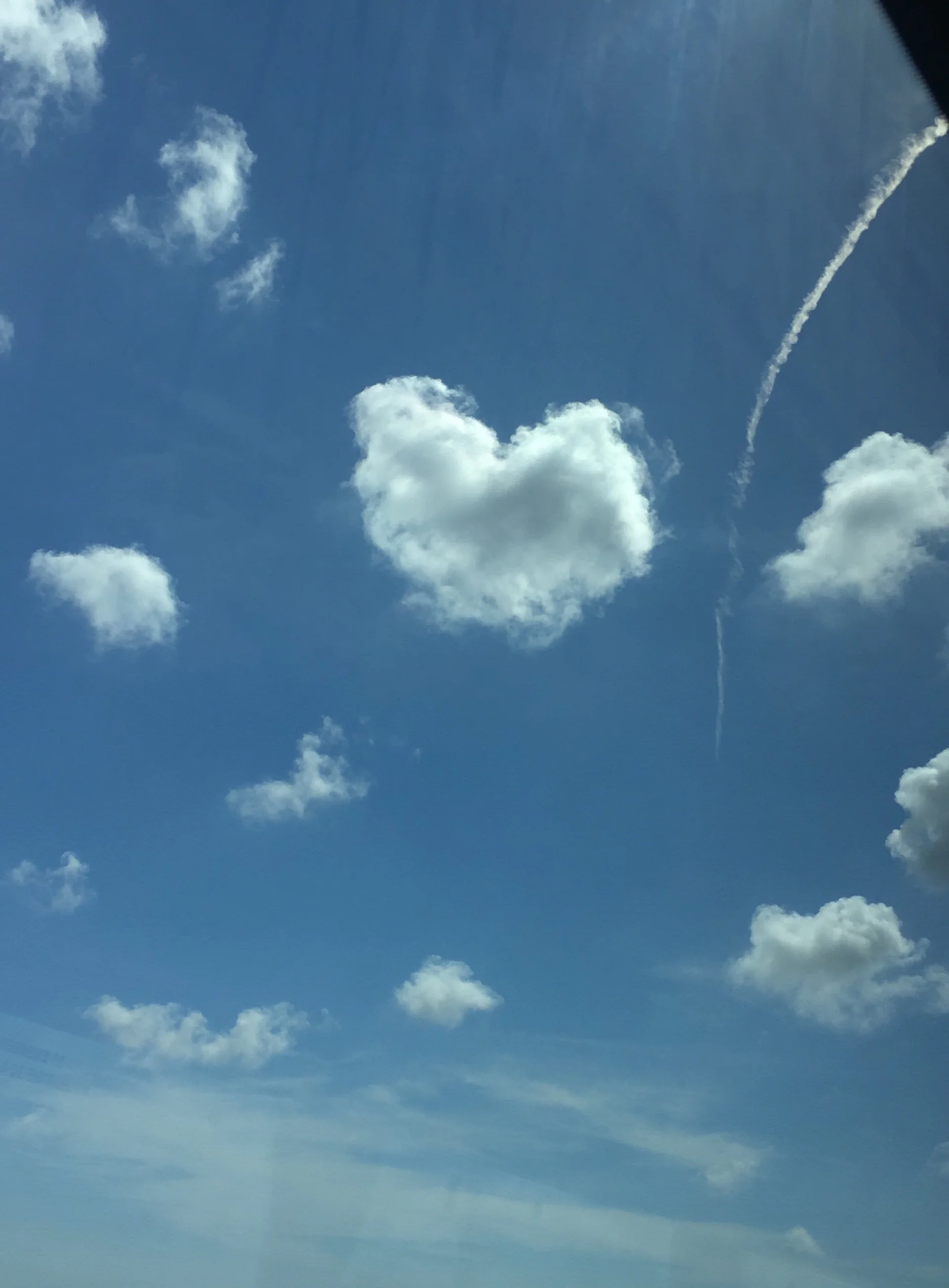 criscvwolff99 - Photo 1