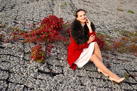 LeonaLaneのWhat flower do I look like?😇🧐の 3枚の写真