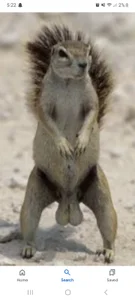 Papiichulooo386's XXX Nude Photo 1