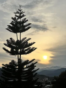 bloom_apple 🥰🥰🥰 صورة واحدة|bloom_apple 🥰🥰🥰 صورتان|bloom_apple 🥰🥰🥰  4 صور|bloom_apple 🥰🥰🥰  4 صورة