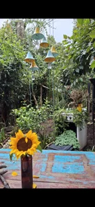 _Angel_witch 🪷🌸🌻 Photo 7