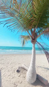 Williams_Martin Public зображення