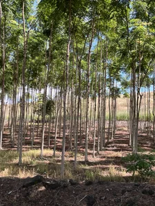 Paseo por carretera🏍️ de devora_candi Foto 7