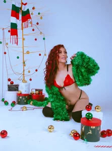 JupiteFox Navidad 2024 Pic 4