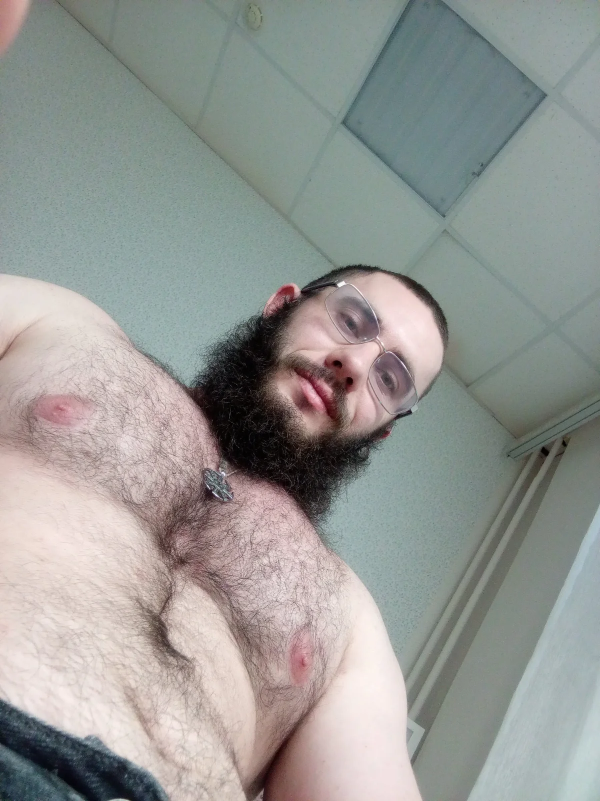 Трендове зображення  1740 Ant_Power