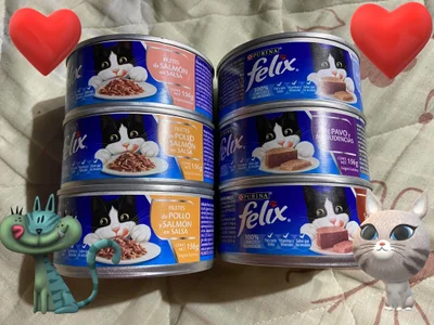 Zdjęcia Little_Lisy ❤Thank you for the gifts ❤:  4