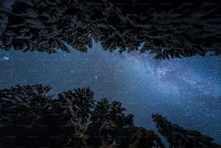 karan_sandhu_1: NATURE ( 5 фото)