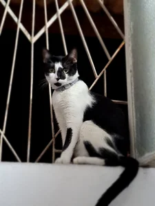 Daineth33: He is my little baby ( 2 фото)