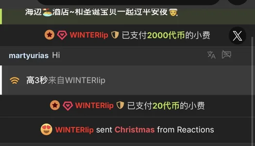 winter11 12月～海水浪潮🌊很汹涌～如同我的爱一直像你扑进～ Foto 8