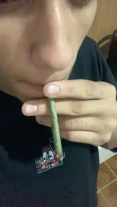 davisanos Public รูป 