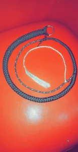 NaeTomorrow2A few whips I made图片 3