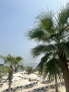 Public od Sperma_v_rotic  6 snímek