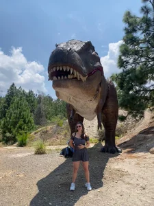 AtheneaRossi kullanıcısının The valley of the dinosaurs albümü -  6 fotoğraf