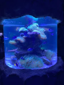 pure_radiance1 It was very beautiful here!!! Foto 3