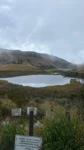 Angell-Bell- This is what I call happiness Poză 8