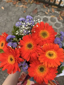 Lady_LauraRose Public Pic 7