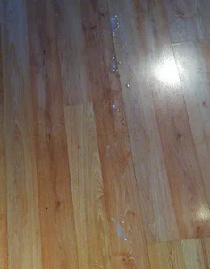 16squirtsofcum cum loads Kuva 6