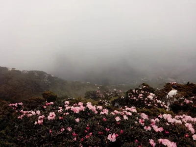 JaneRosen: I want to come here ( 2 фото)