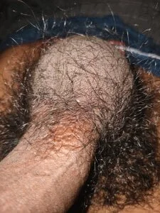 _Stripchat_Owner_ Public  2টি ছবি