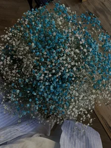 My favorite flowers od SonjaMonje  3 snímek