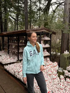 Japan 2026 (Osaka > Kyoto > Tokyo) 🇯🇵✈️✨ de KateJonson Foto 8