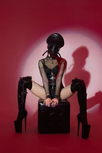 Reed_Fox high heels and chains  4টি ছবি