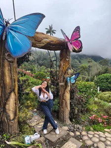 Public de aria-voss  6 Imagens