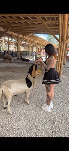 LucyRosse In my free time Billede