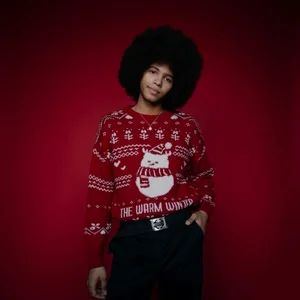 DEAMOL merry christmas Hình 3