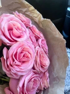 BellaBriggs kullanıcısının 🩵🩵🩵 albümü -  fotoğraf