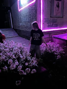 PlumbBump Public Immagine  4