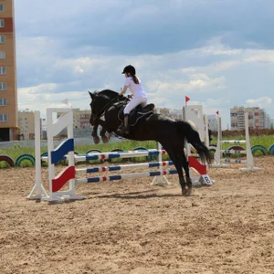 DonnaBurkee Public Immagine  2